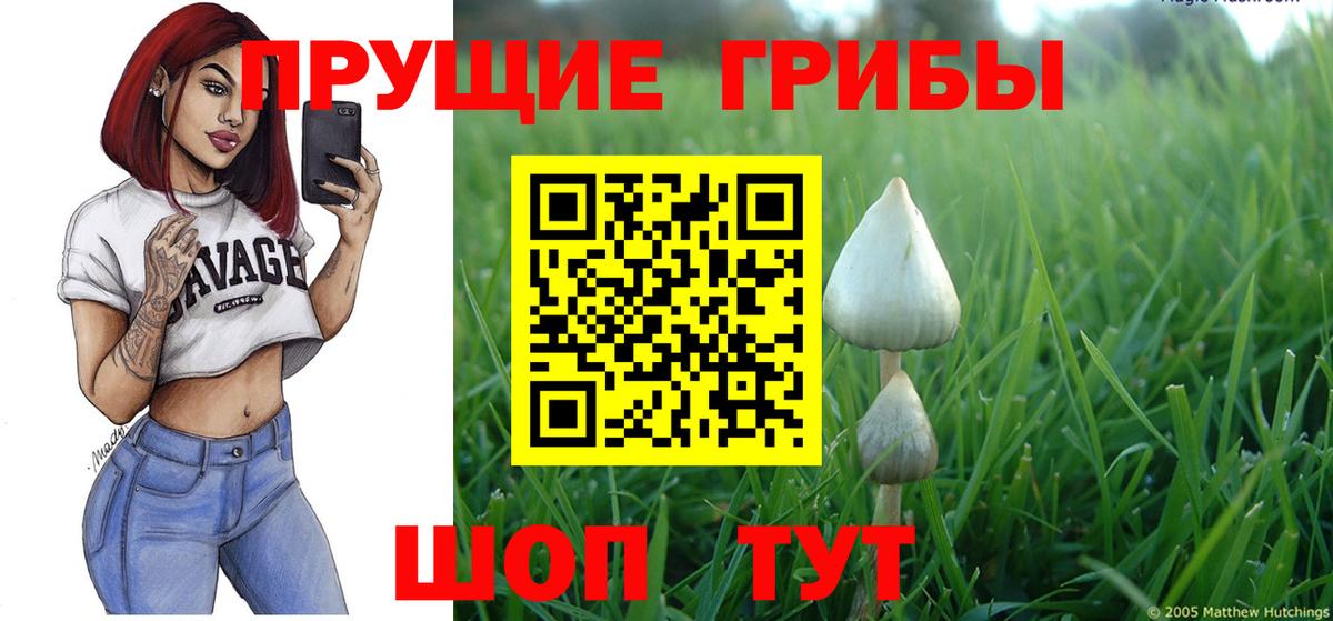 Псилоцибиновые грибы мицелий  Вход с VPN  Белорецк 
